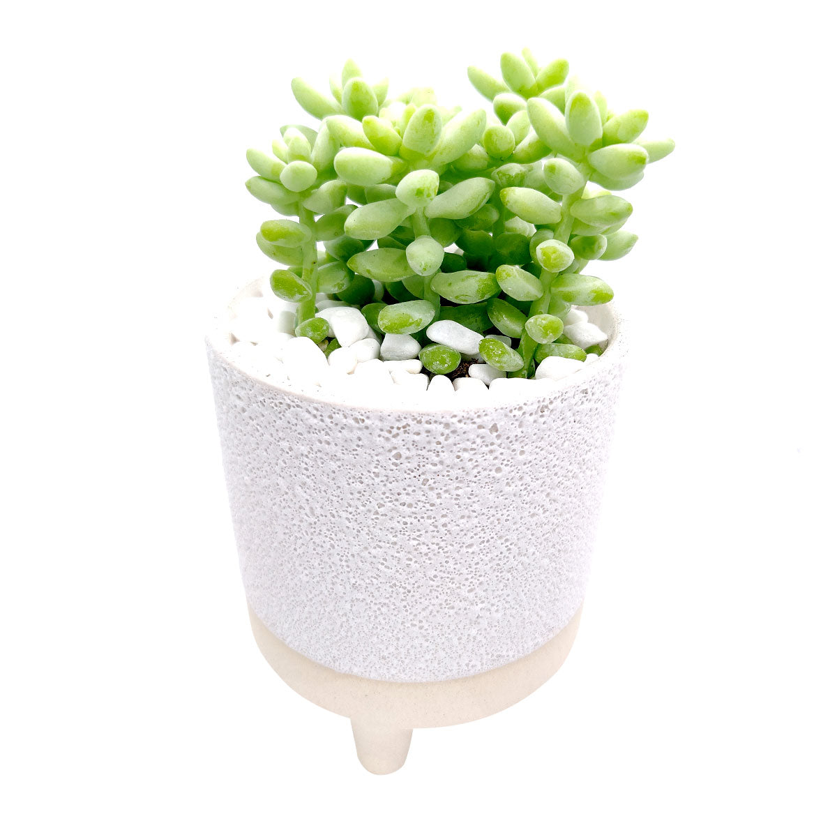 4 inch Footed Pot