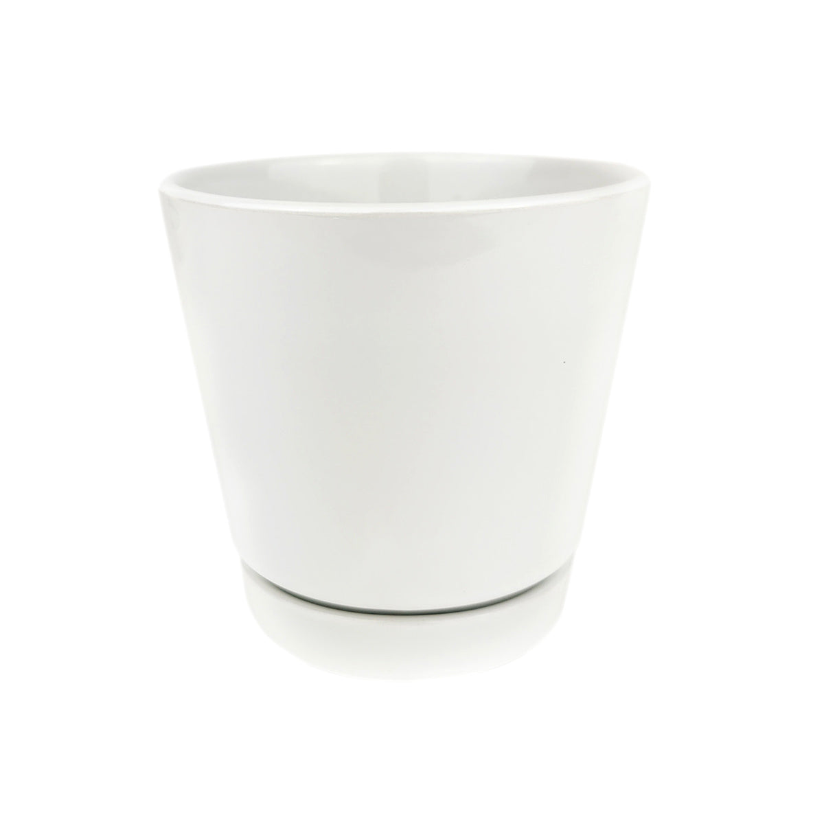 Pack of 3 White Minimalist Ceramic Pots