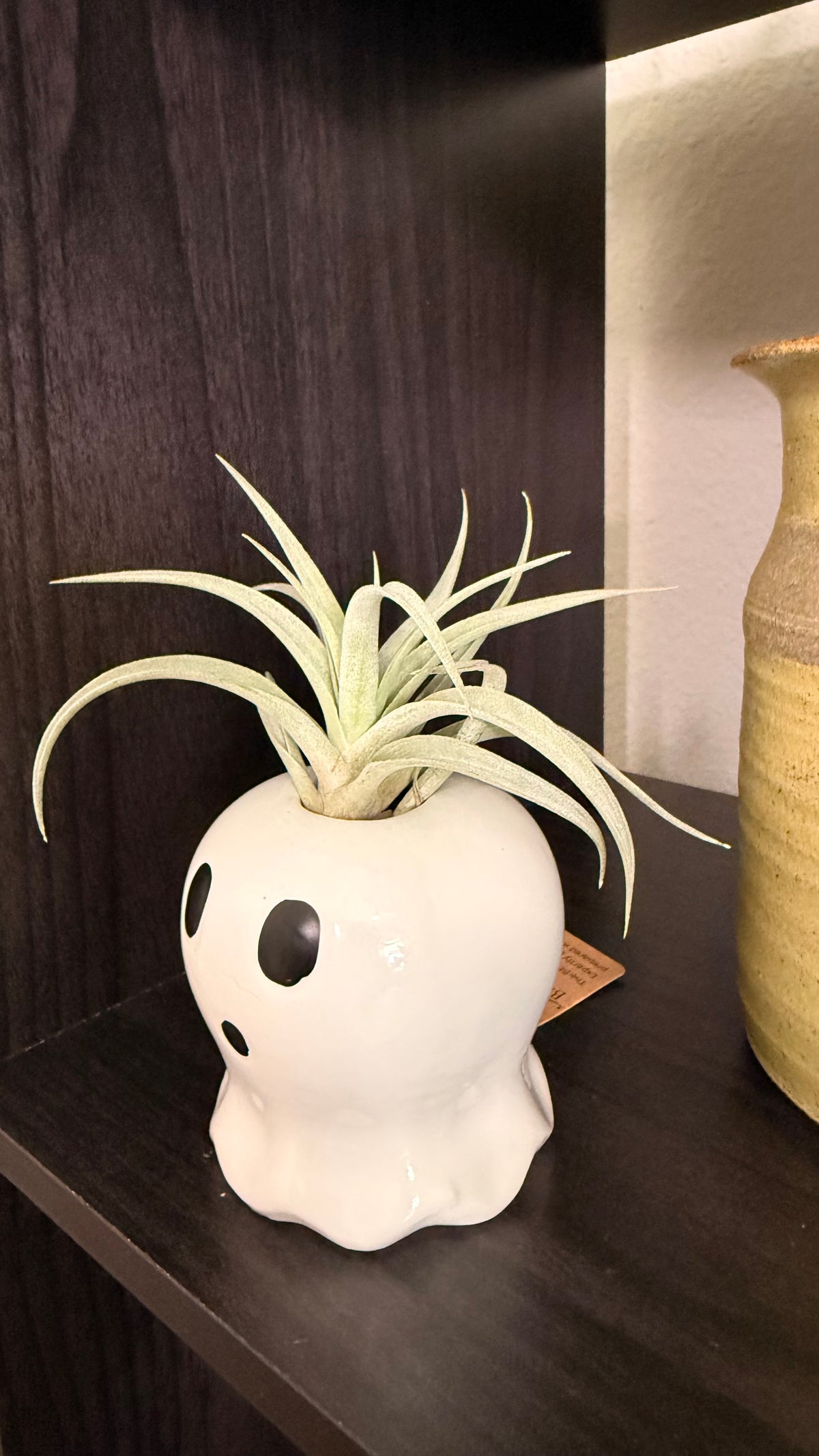 Halloween Ceramic Ghost Figure With Live Medium Air Plant - Office Decor - Fall Theme Plant Decor - Air Plant Holder - Halloween Decor - Medium Live Air Plant