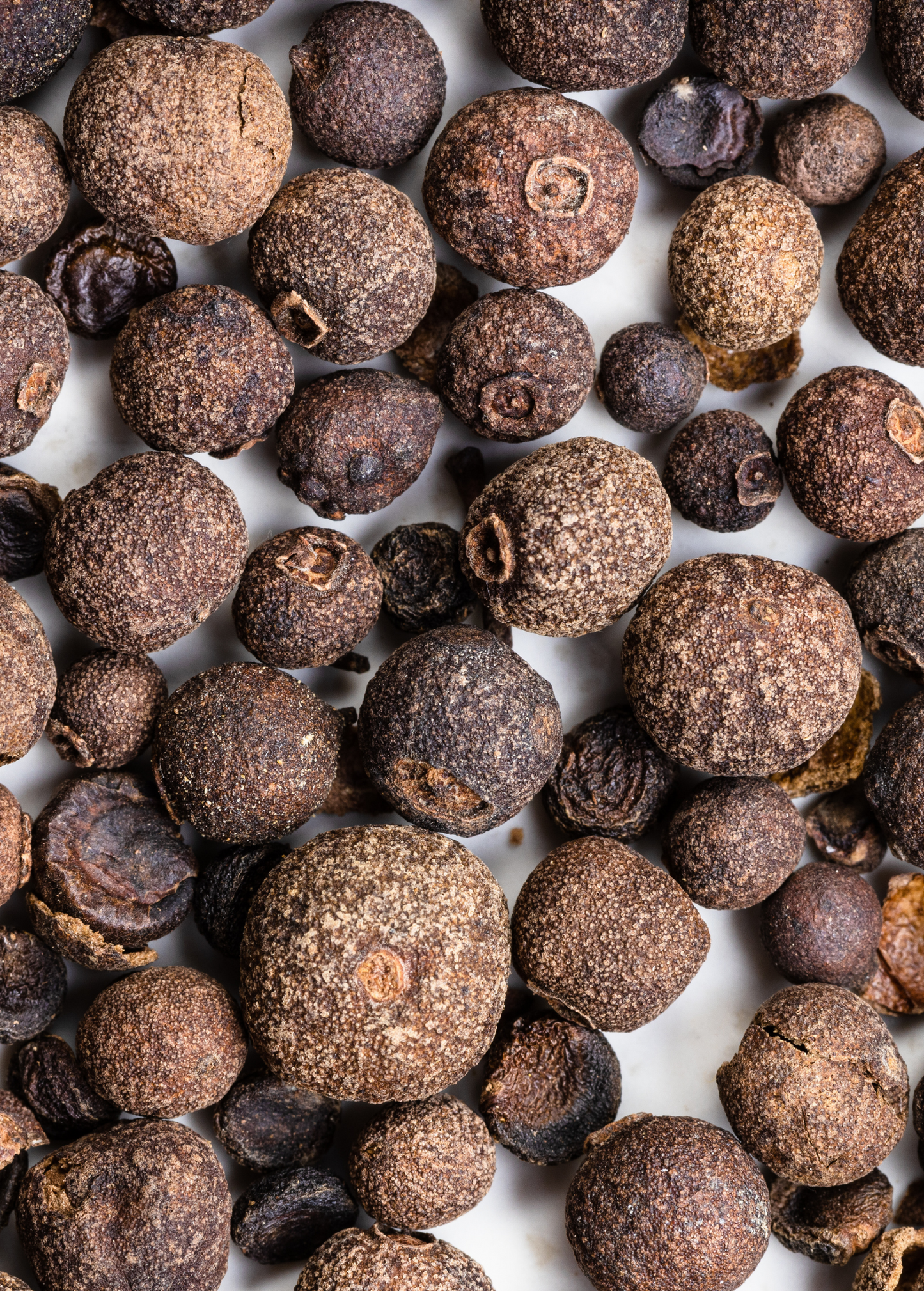 Allspice (Pimenta dioica)