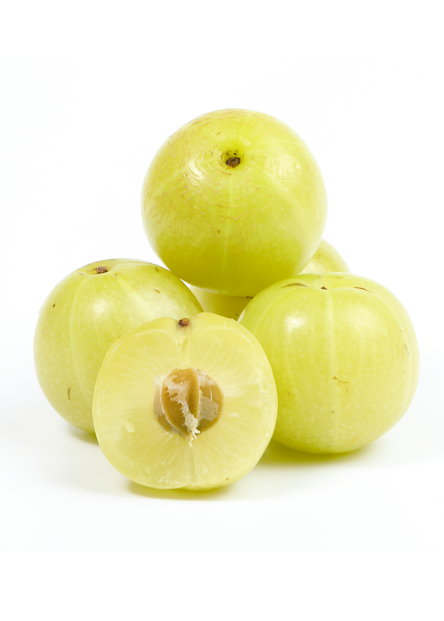 Amla, Indian Gooseberry (Phyllanthus emblica)