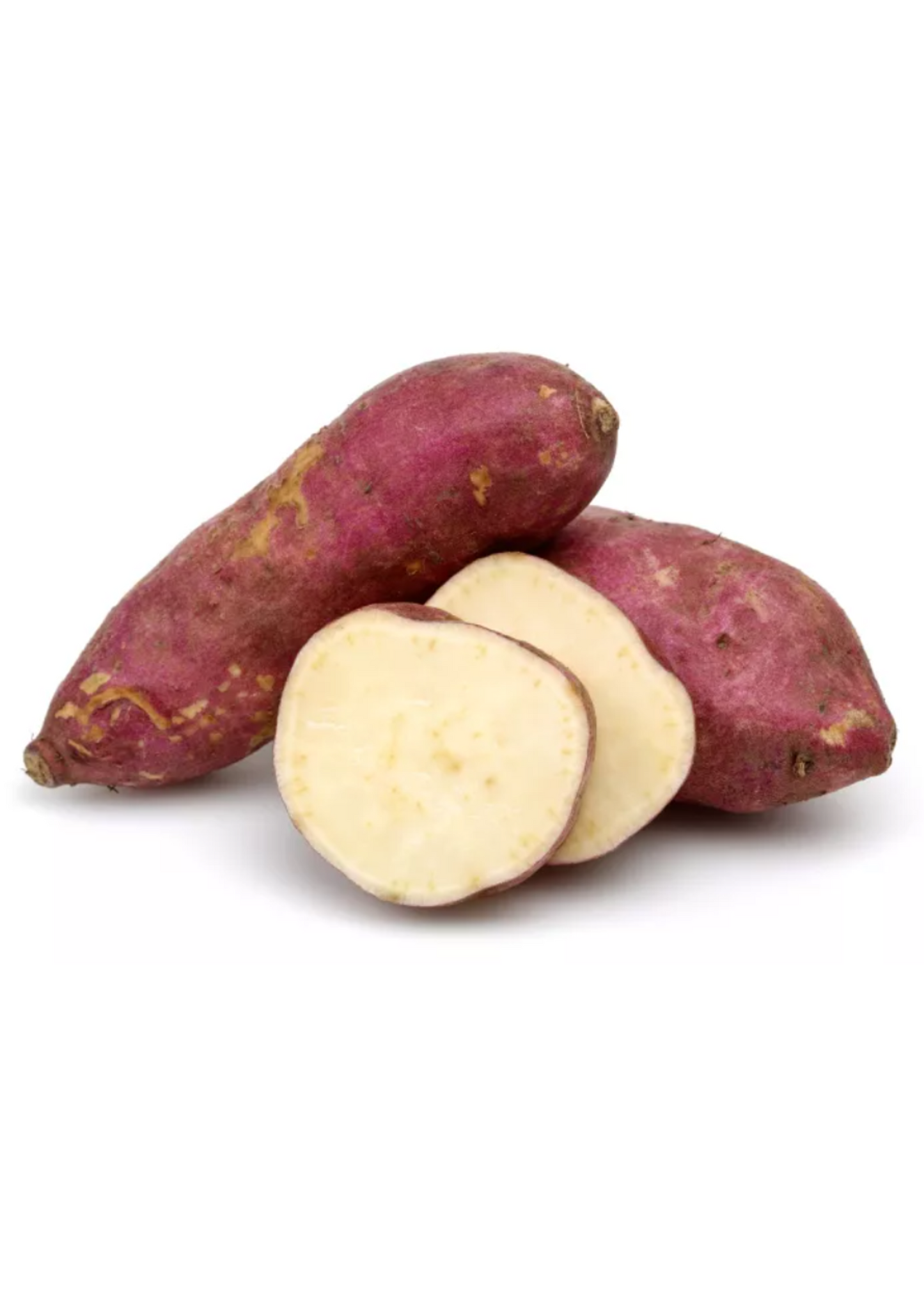 Boniato (Ipomoea batatas)