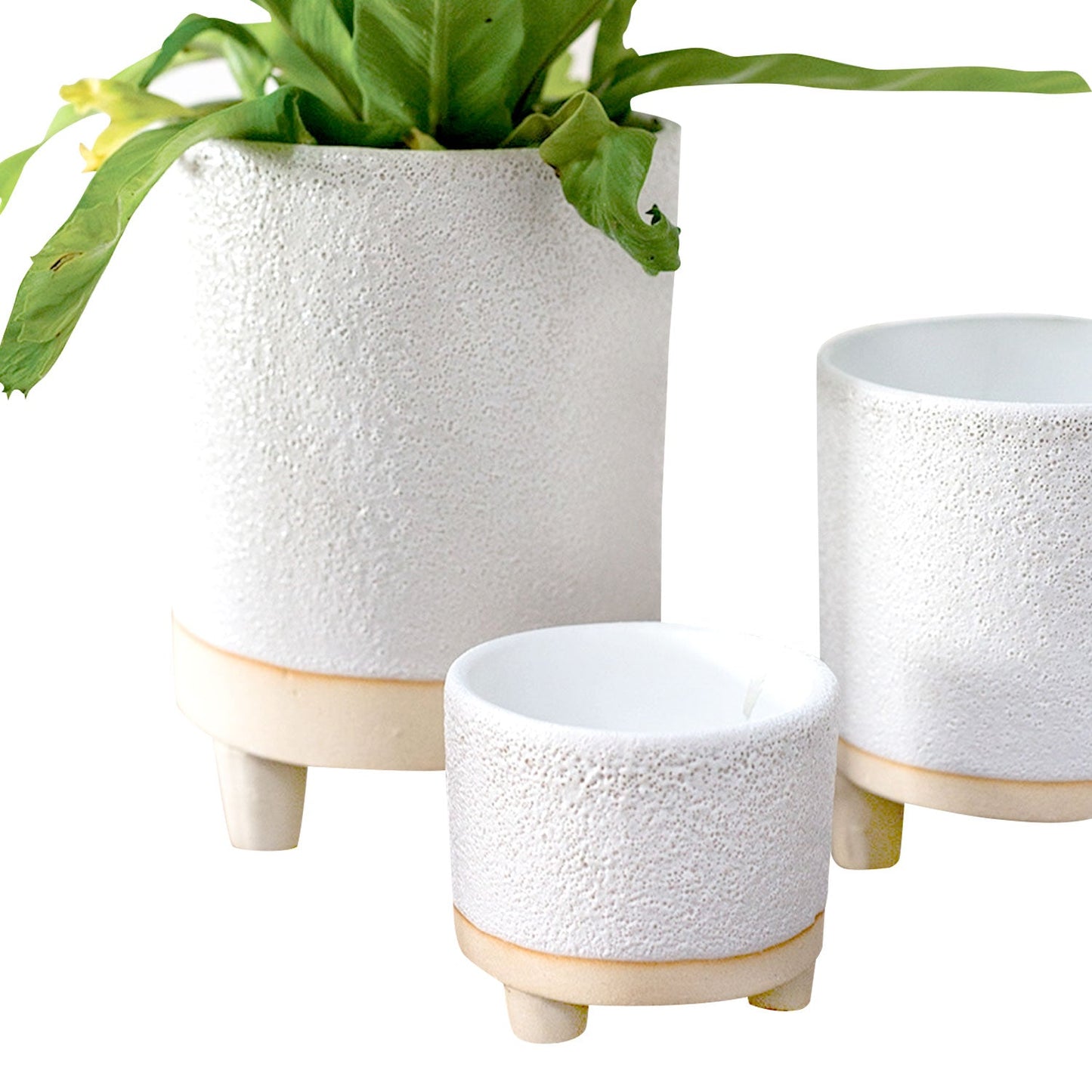 4 inch Footed Pot
