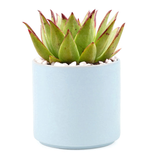 Blue Modern Cylinder Pot