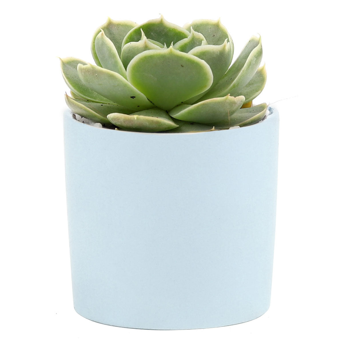 Blue Modern Cylinder Pot