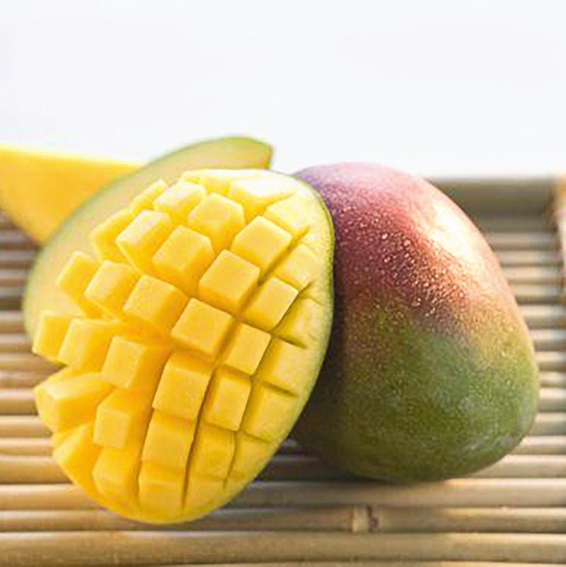 Carrie Dwarf Mango Tree Grafted