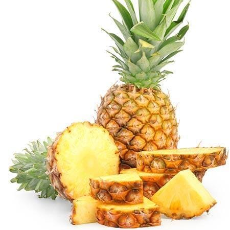 Florida Special Pineapple Plant (Ananas comosus) - Sweet, Juicy, and Cold Hardy