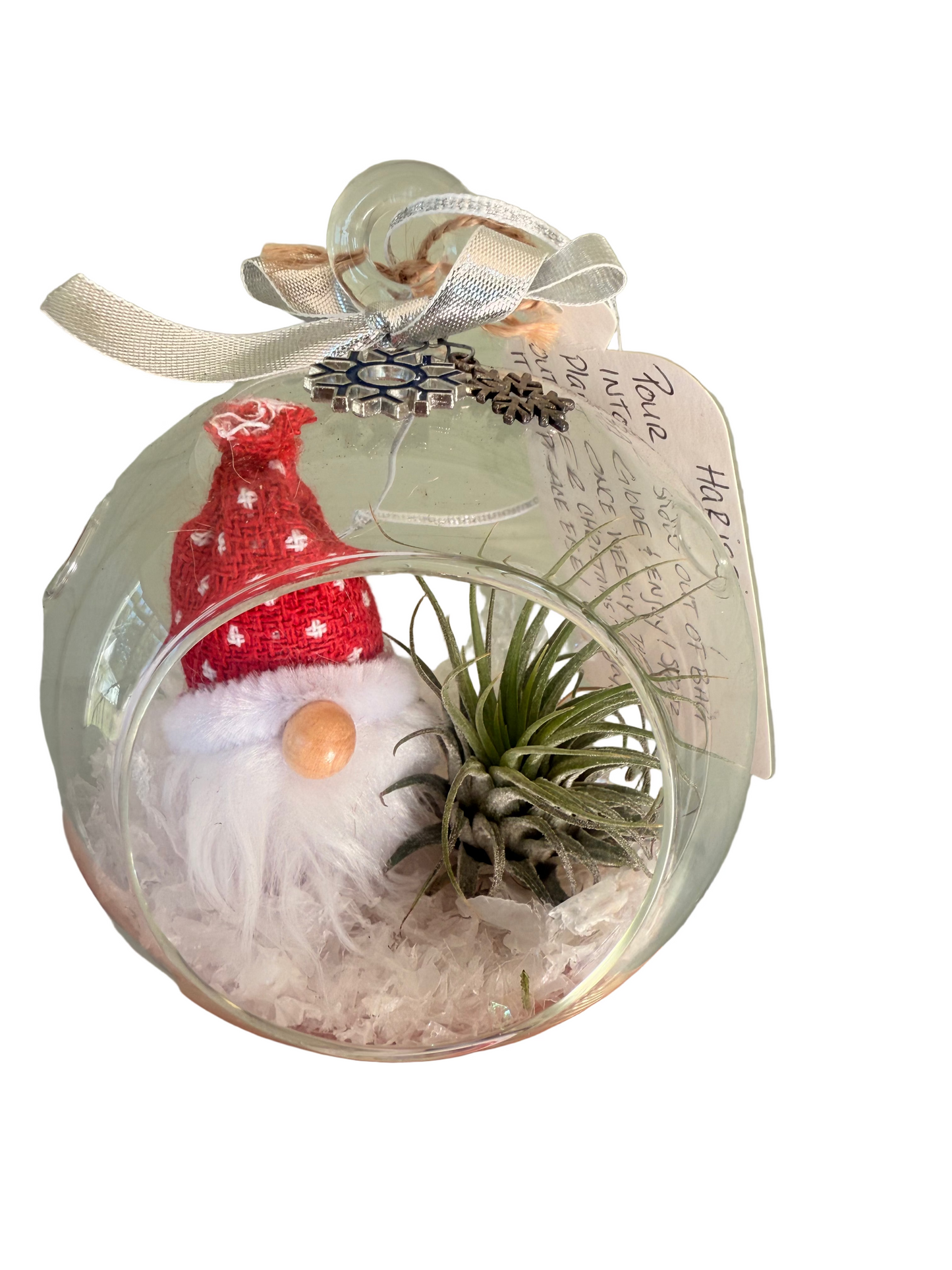 Christmas Air Plant Globe - Gnome Variety - Air Plant Christmas Decoration - Christmas Tree Ornament - Live Air Plant - Ionantha Air Plant - Christmas Gifts For Her - Plant Lover Christmas Gift - Holiday Terrarium Décor