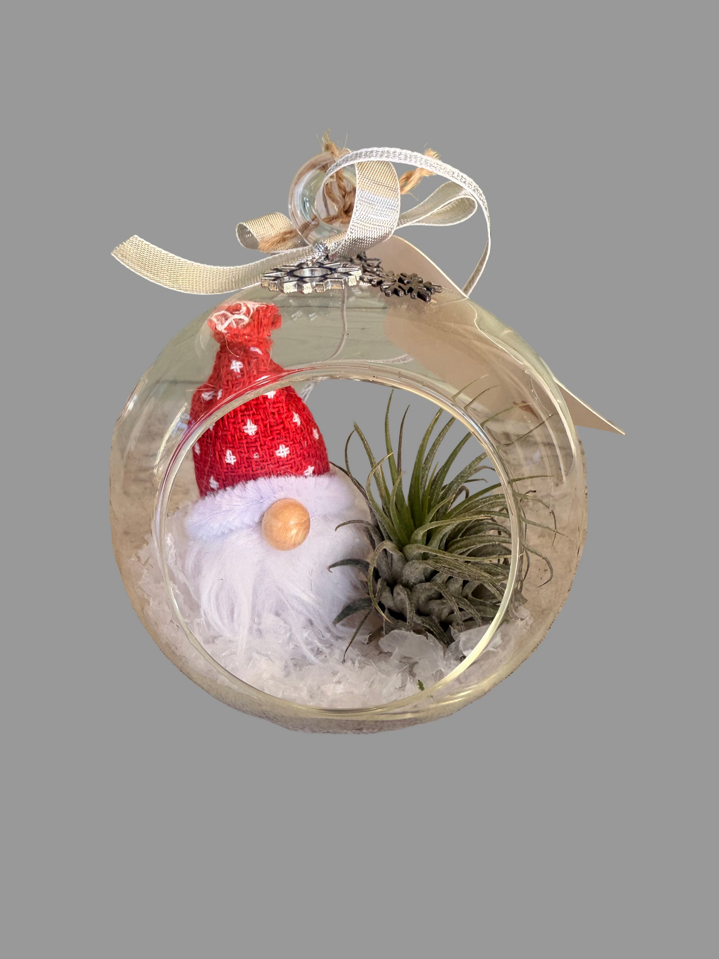 Christmas Air Plant Globe - Gnome Variety - Air Plant Christmas Decoration - Christmas Tree Ornament - Live Air Plant - Ionantha Air Plant - Christmas Gifts For Her - Plant Lover Christmas Gift - Holiday Terrarium Décor