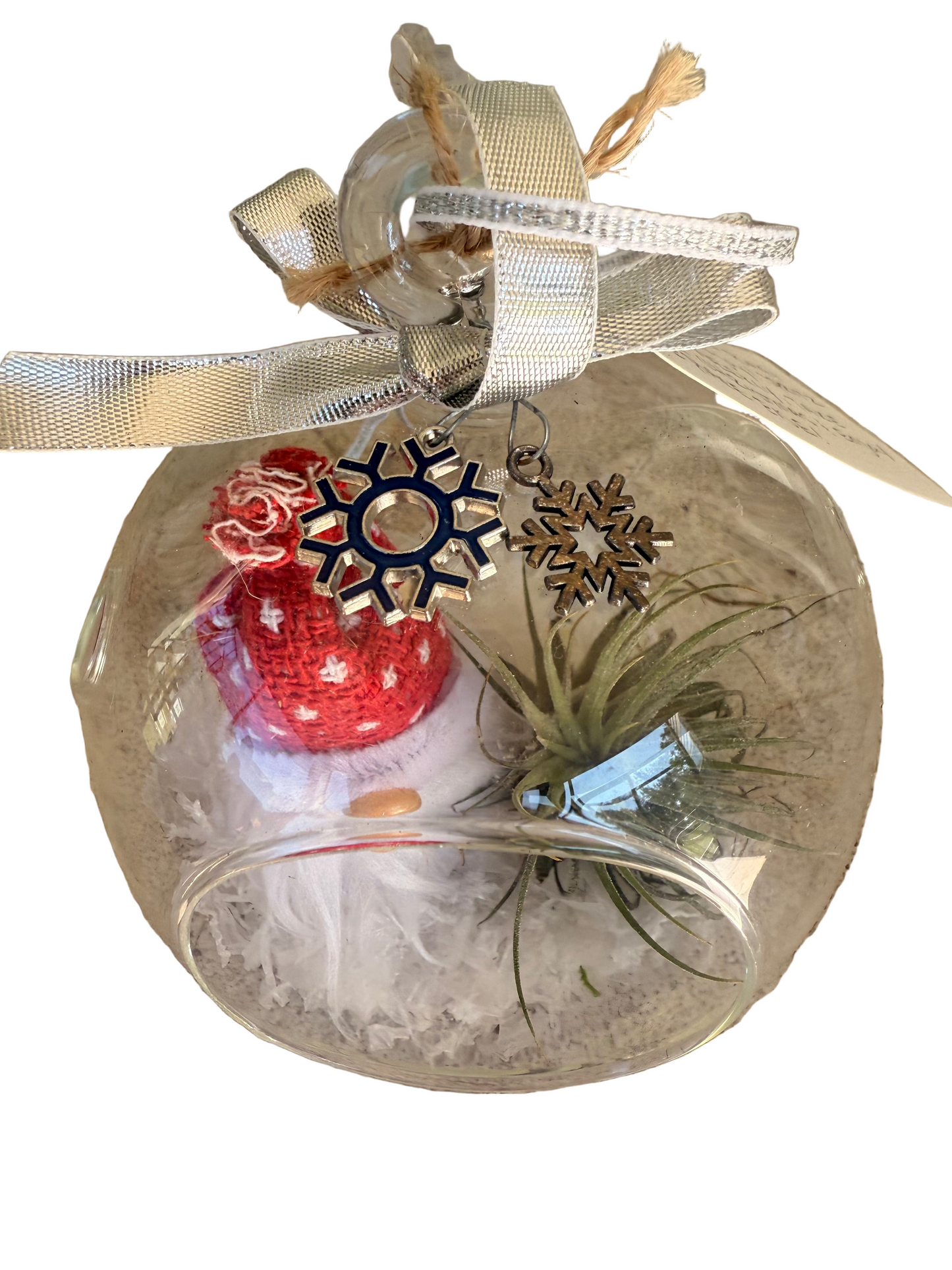 Christmas Air Plant Globe - Gnome Variety - Air Plant Christmas Decoration - Christmas Tree Ornament - Live Air Plant - Ionantha Air Plant - Christmas Gifts For Her - Plant Lover Christmas Gift - Holiday Terrarium Décor