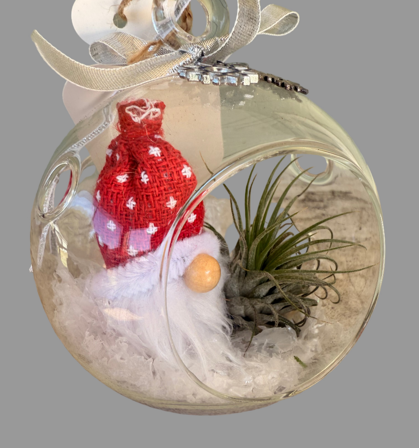 Christmas Air Plant Globe - Gnome Variety - Air Plant Christmas Decoration - Christmas Tree Ornament - Live Air Plant - Ionantha Air Plant - Christmas Gifts For Her - Plant Lover Christmas Gift - Holiday Terrarium Décor