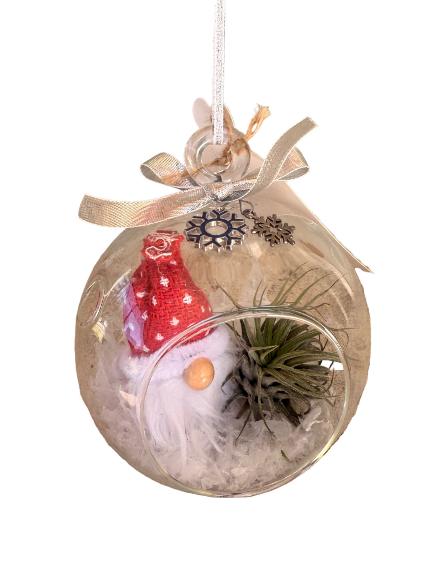 Christmas Air Plant Globe - Gnome Variety - Air Plant Christmas Decoration - Christmas Tree Ornament - Live Air Plant - Ionantha Air Plant - Christmas Gifts For Her - Plant Lover Christmas Gift - Holiday Terrarium Décor