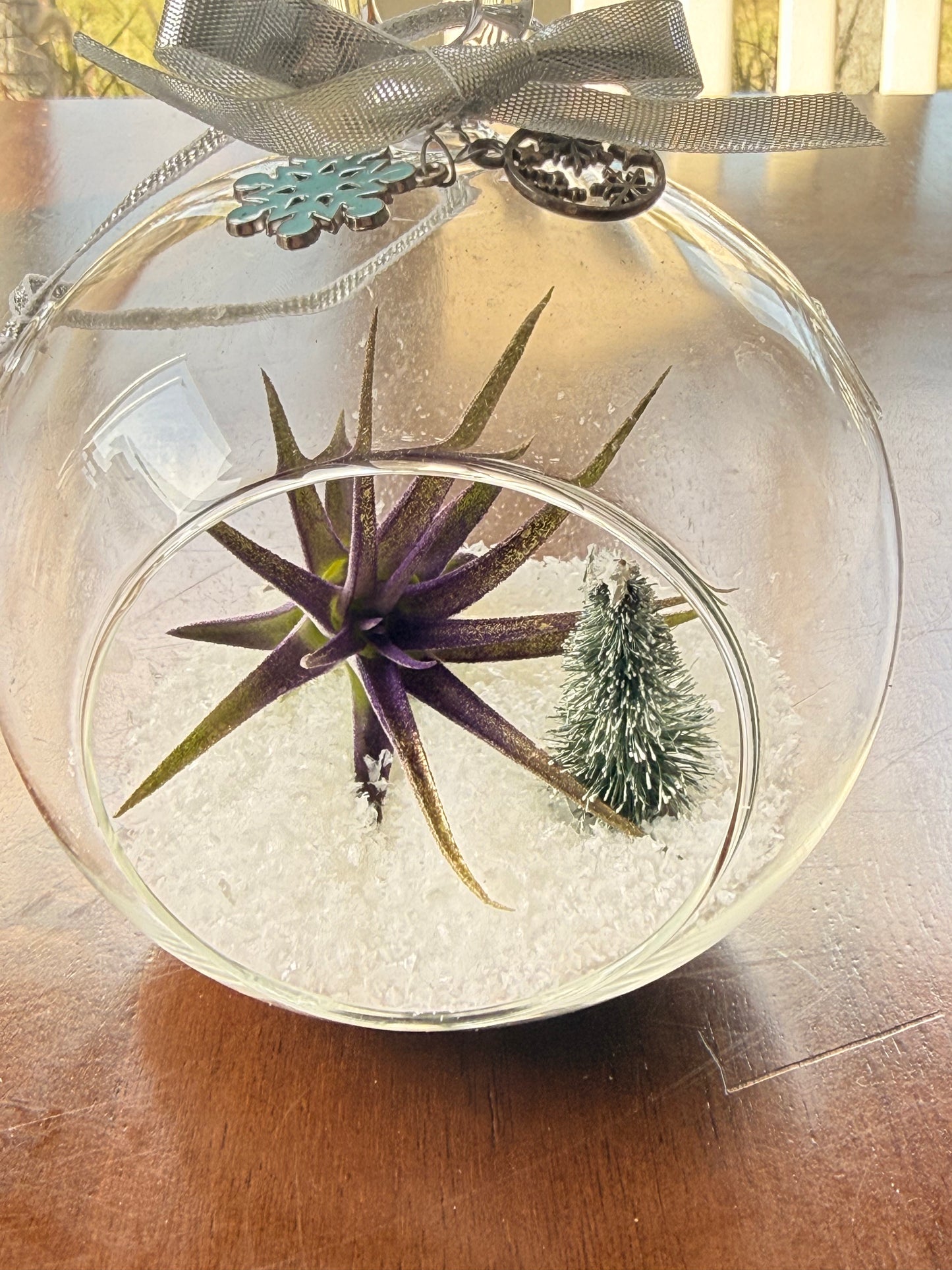 Christmas Air Plant Globe - Purple Air Plant with Fake Snow and Tree - Air Plant Christmas Decoration - Christmas Tree Ornament - Live Air Plant - Ionantha Air Plant - Christmas Gifts For Her - Plant Lover Christmas Gift - Holiday Terrarium Décor