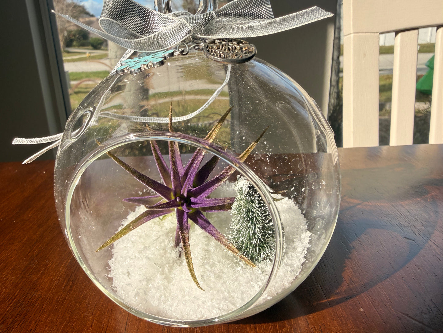 Christmas Air Plant Globe - Purple Air Plant with Fake Snow and Tree - Air Plant Christmas Decoration - Christmas Tree Ornament - Live Air Plant - Ionantha Air Plant - Christmas Gifts For Her - Plant Lover Christmas Gift - Holiday Terrarium Décor