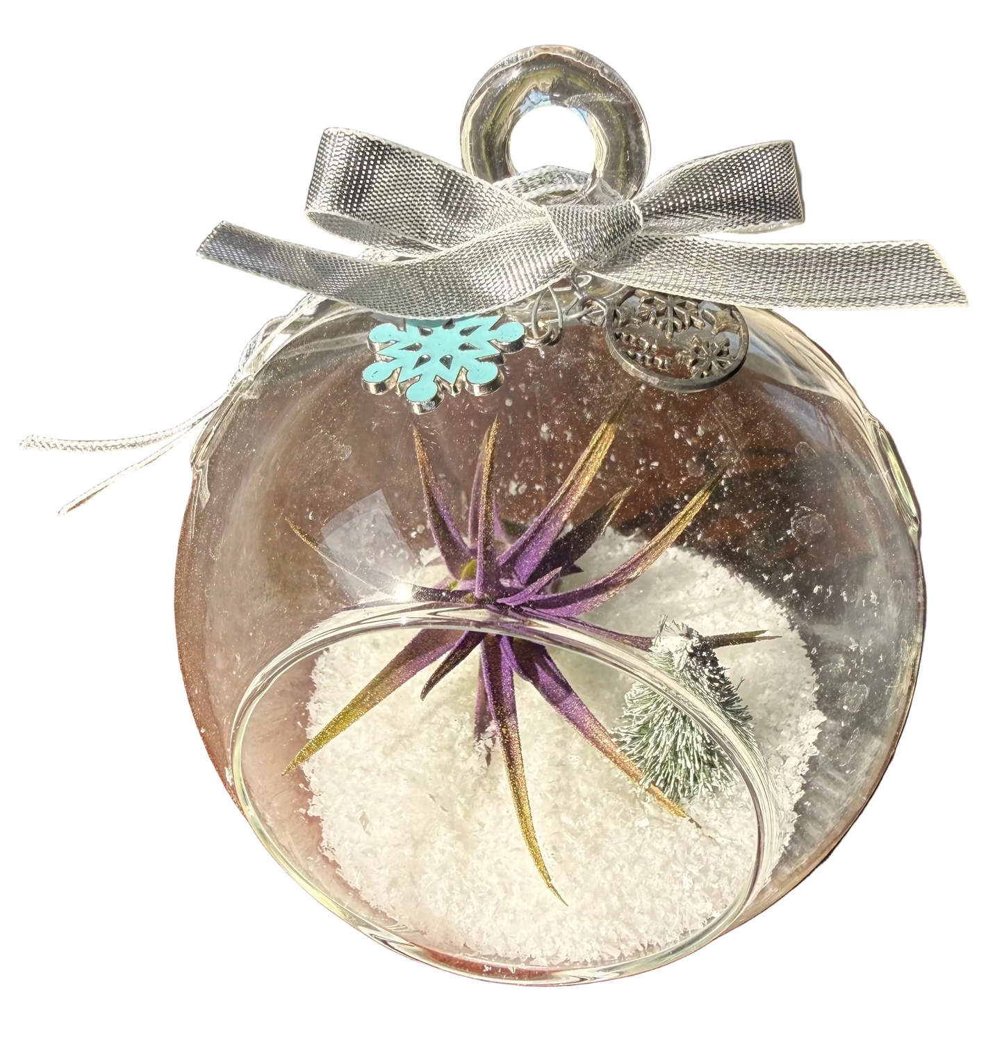 Christmas Air Plant Globe - Purple Air Plant with Fake Snow and Tree - Air Plant Christmas Decoration - Christmas Tree Ornament - Live Air Plant - Ionantha Air Plant - Christmas Gifts For Her - Plant Lover Christmas Gift - Holiday Terrarium Décor