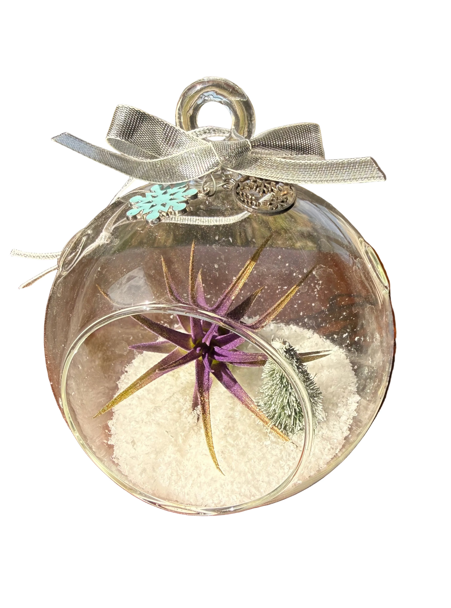 Christmas Air Plant Globe - Purple Air Plant with Fake Snow and Tree - Air Plant Christmas Decoration - Christmas Tree Ornament - Live Air Plant - Ionantha Air Plant - Christmas Gifts For Her - Plant Lover Christmas Gift - Holiday Terrarium Décor