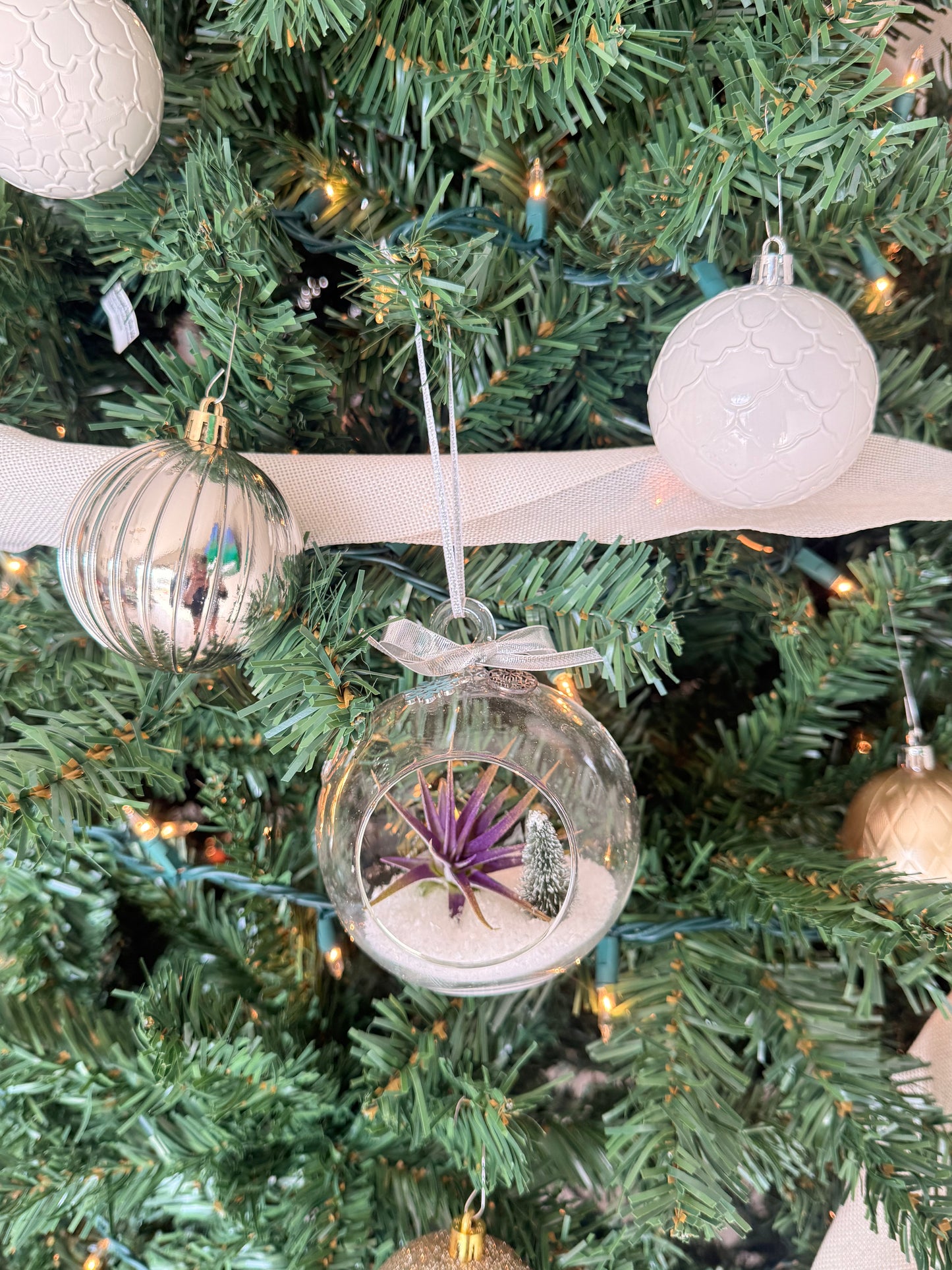 Christmas Air Plant Globe - Purple Air Plant with Fake Snow and Tree - Air Plant Christmas Decoration - Christmas Tree Ornament - Live Air Plant - Ionantha Air Plant - Christmas Gifts For Her - Plant Lover Christmas Gift - Holiday Terrarium Décor