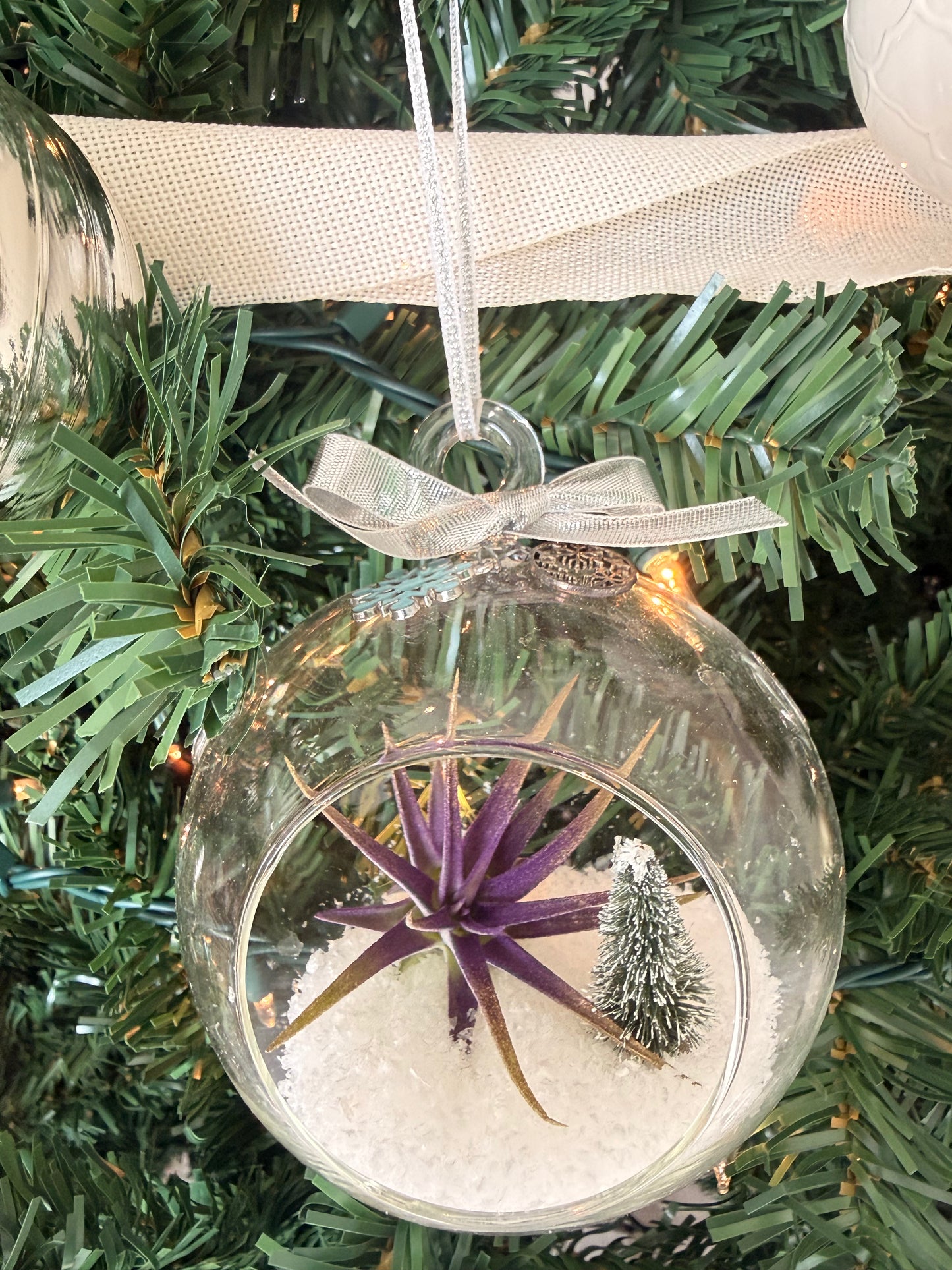 Christmas Air Plant Globe - Purple Air Plant with Fake Snow and Tree - Air Plant Christmas Decoration - Christmas Tree Ornament - Live Air Plant - Ionantha Air Plant - Christmas Gifts For Her - Plant Lover Christmas Gift - Holiday Terrarium Décor