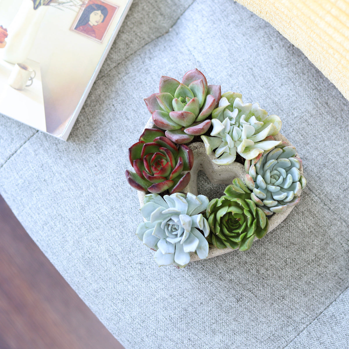 Succulent Heart Arrangement