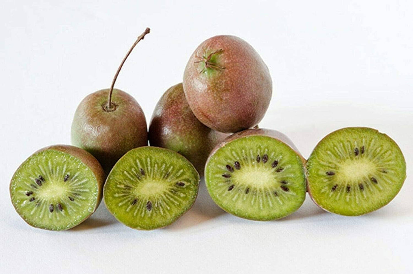 Prolific Kiwi Hardy Plant - Sweet, Tangy Fruits for Your Garden
