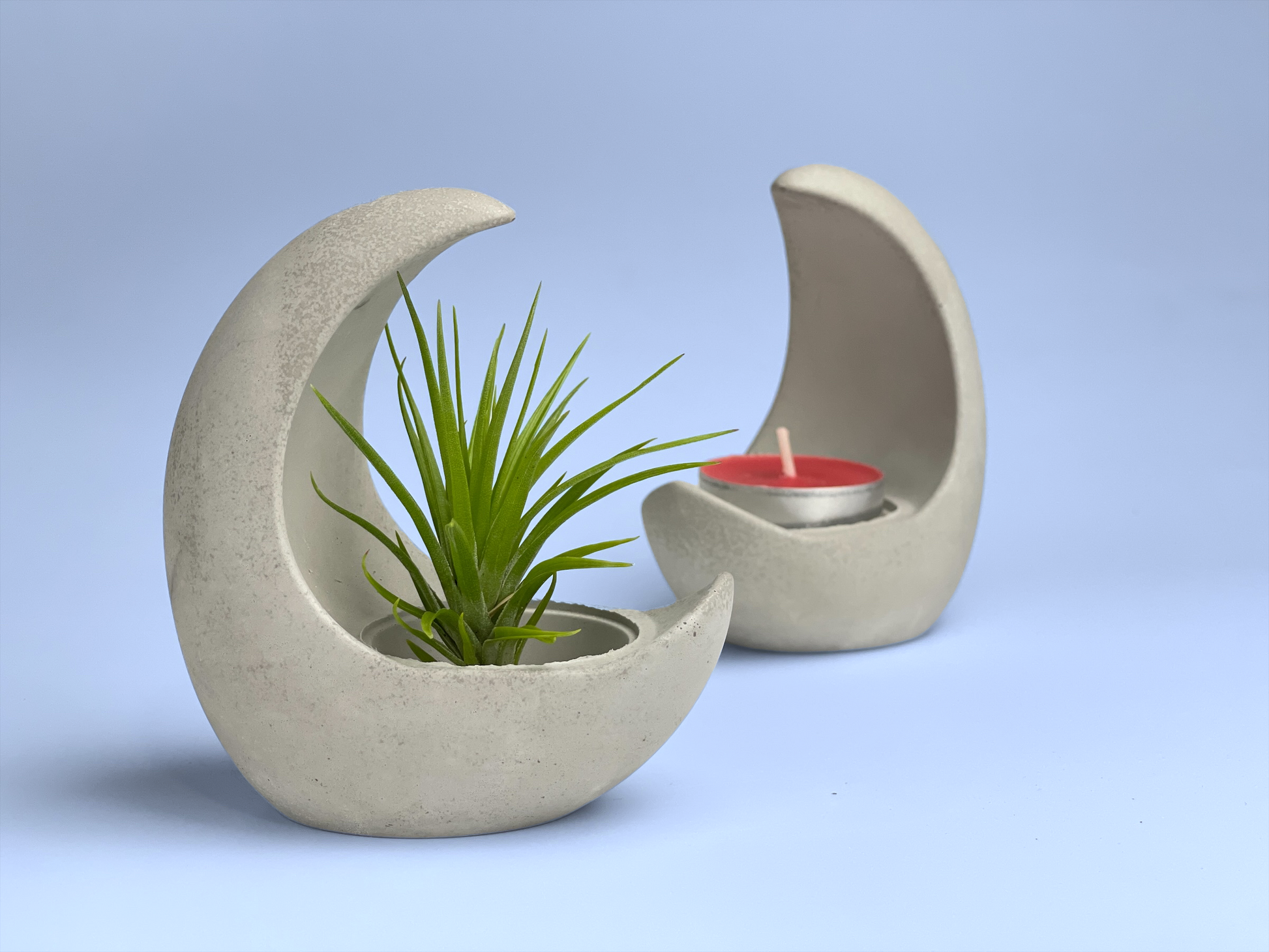 concrete air plant holder YOUNG MOON Air PLANT Holder MOON Holder