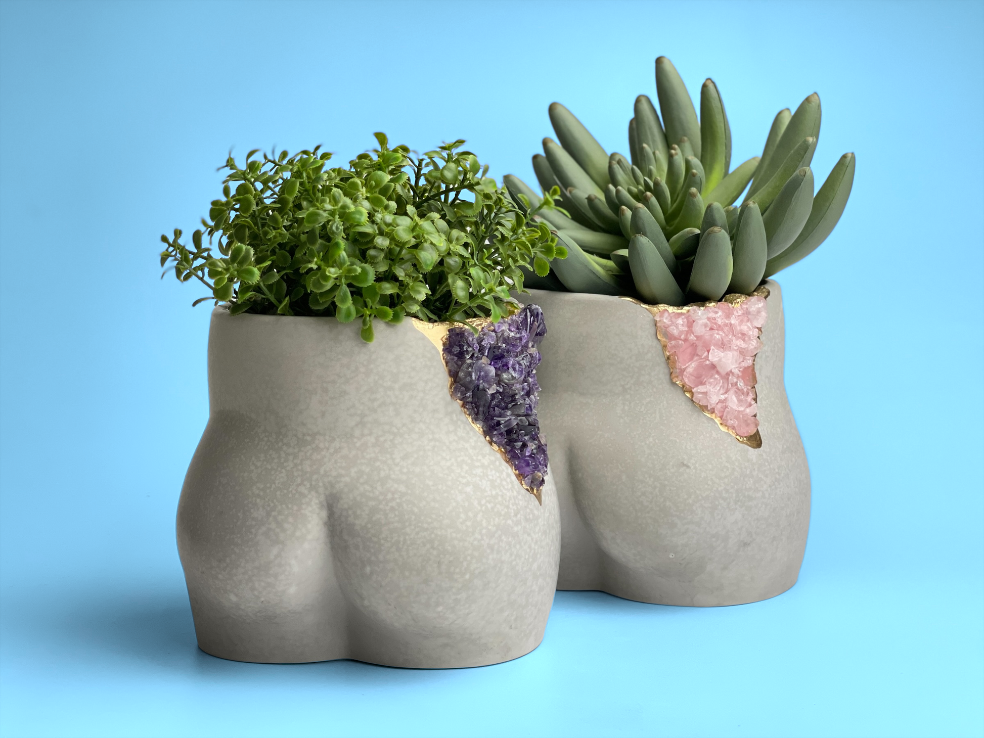 butt plant succulent Rose Quartz Butt Planter – Lovehopegrow
