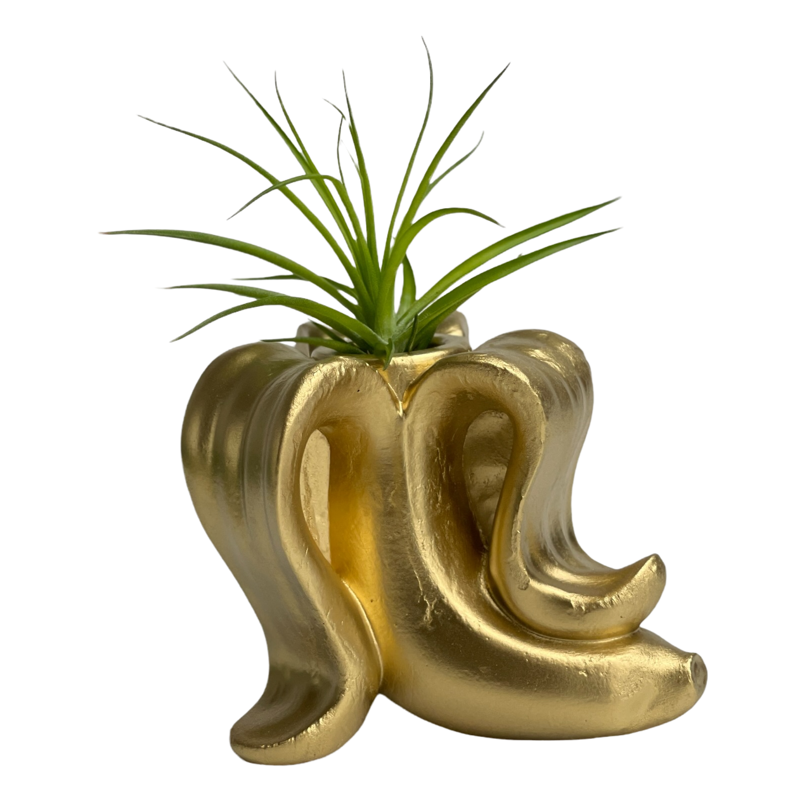 gold air plant holder Banana Air Plant Holder – Lovehopegrow