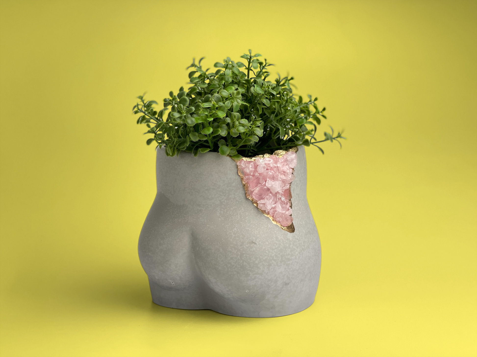 butt plant pot Rose Quartz Butt Planter – Lovehopegrow