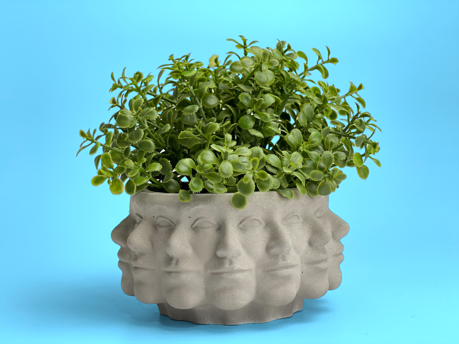multi succulent pot Multi Face Succulent Planter – Lovehopegrow