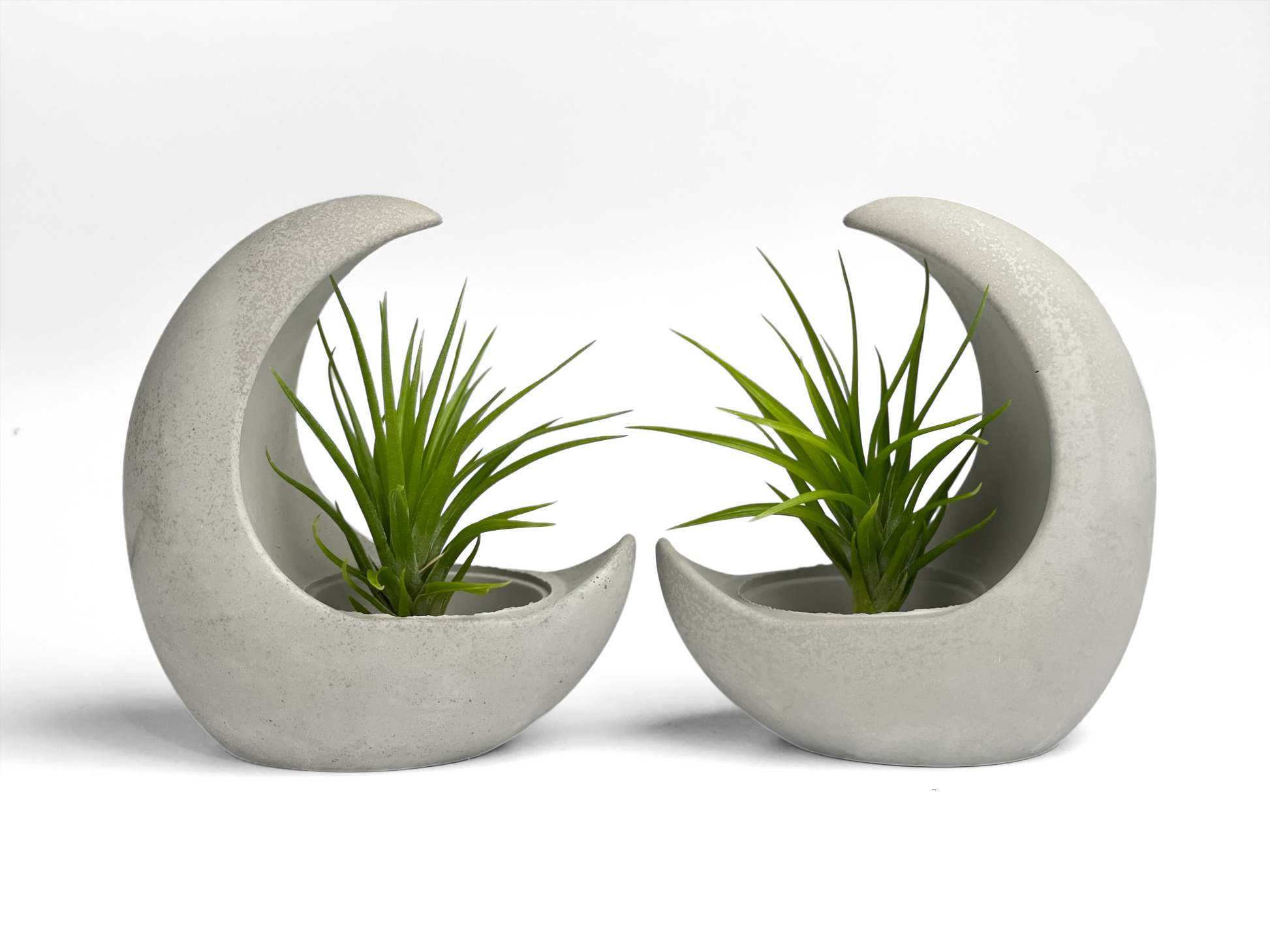 concrete air plant holder YOUNG MOON Air PLANT Holder MOON Holder