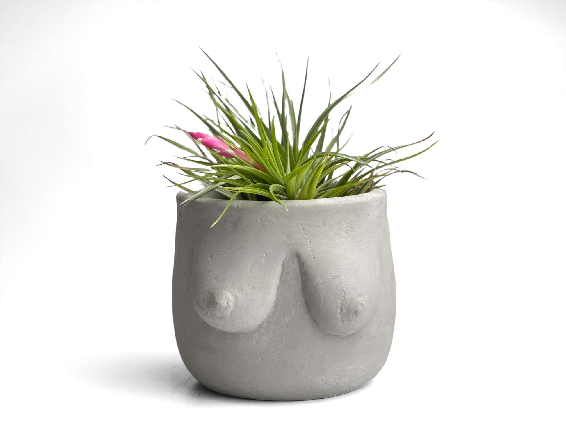 boob pot plant Boobs Planter