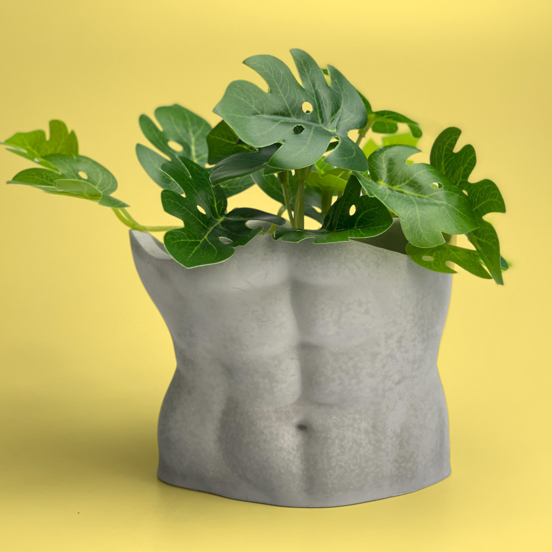 masculine plant pots Male Body Planter Pot