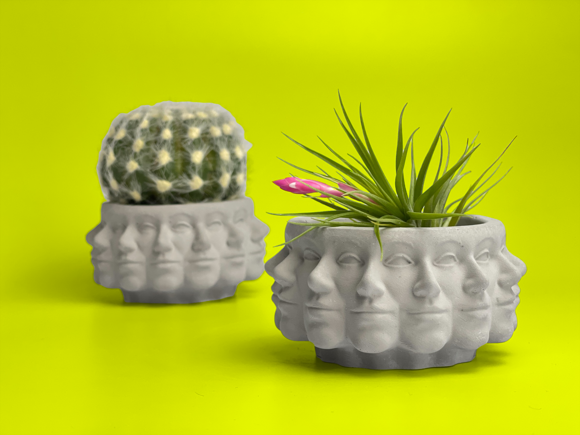 multi succulent planter Multi Face Succulent Planter – Lovehopegrow