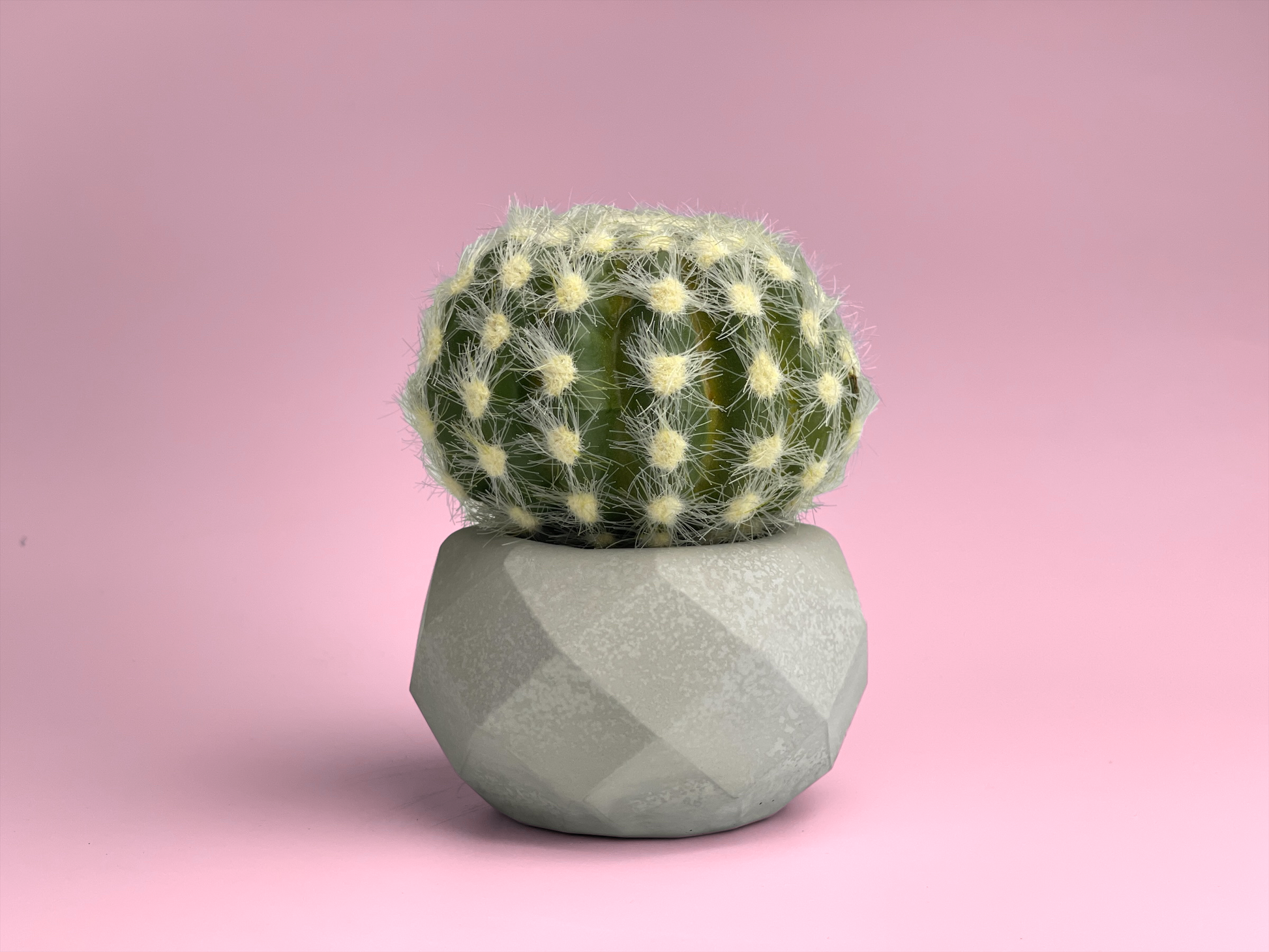 geometric air plant holder Geometric Air Plant Holder – Lovehopegrow