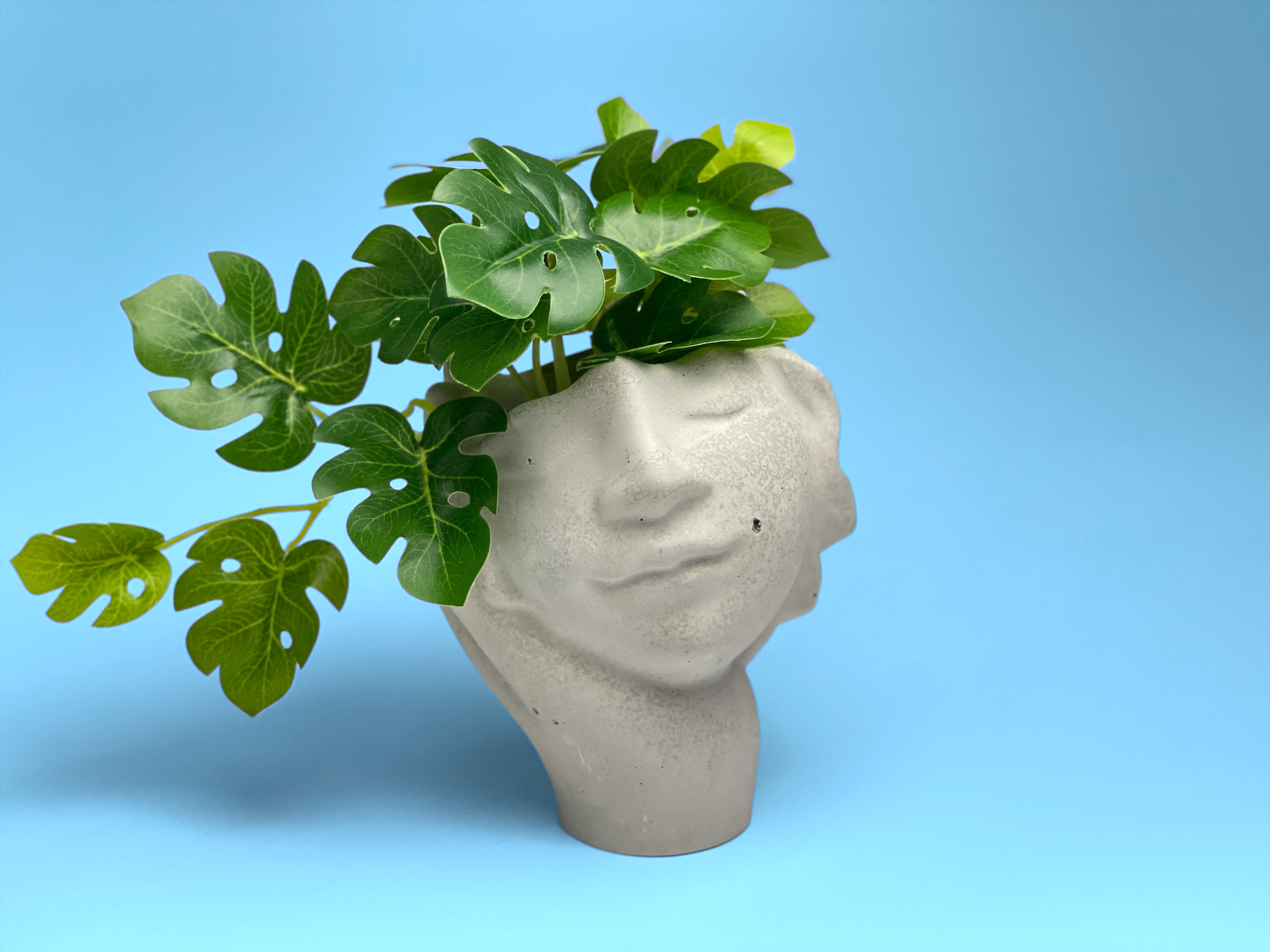 hand shaped plant pot Face Succulent Planter on Hand