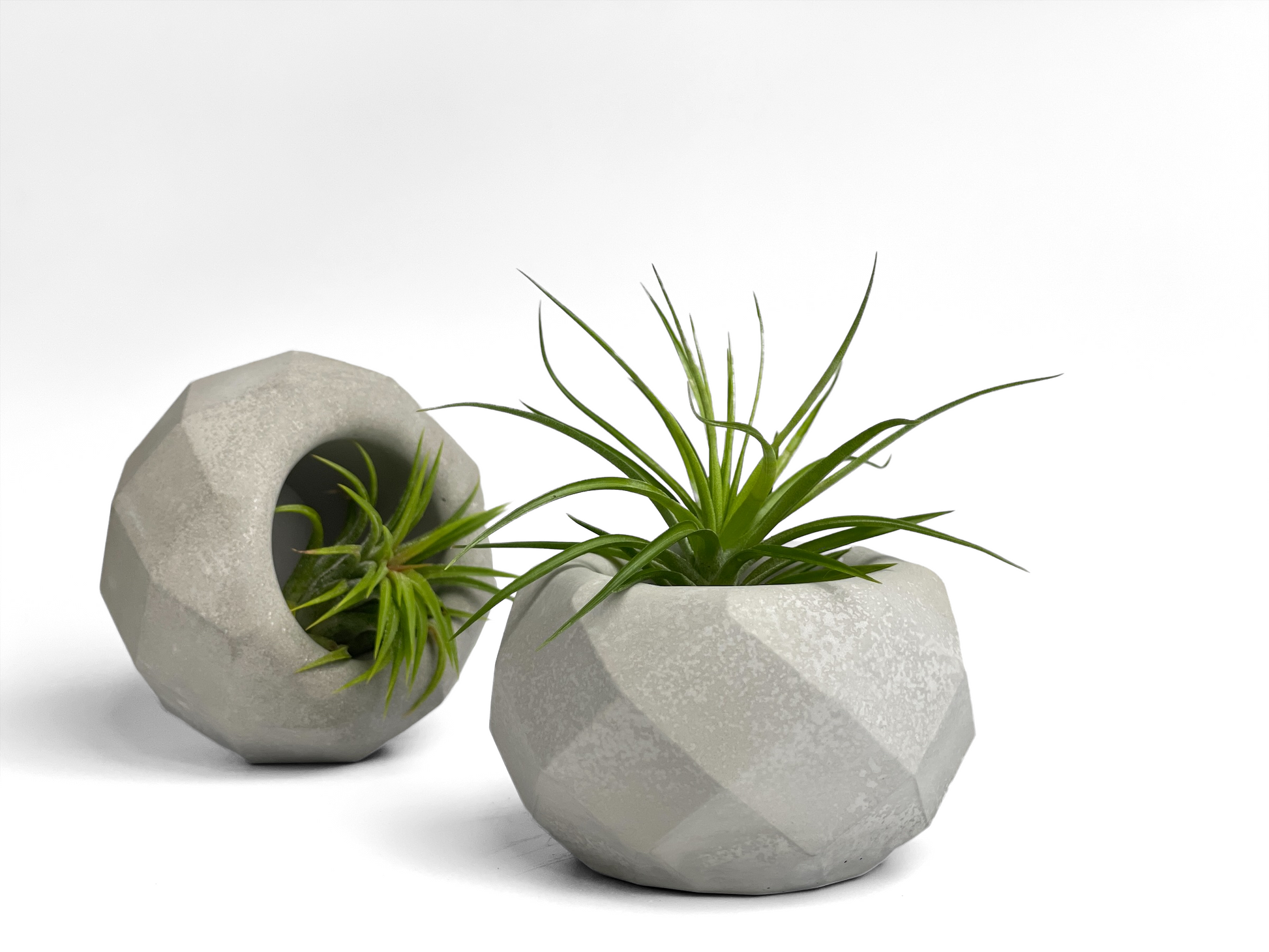 geometric plant hanger Geometric Air Plant Holder – Lovehopegrow
