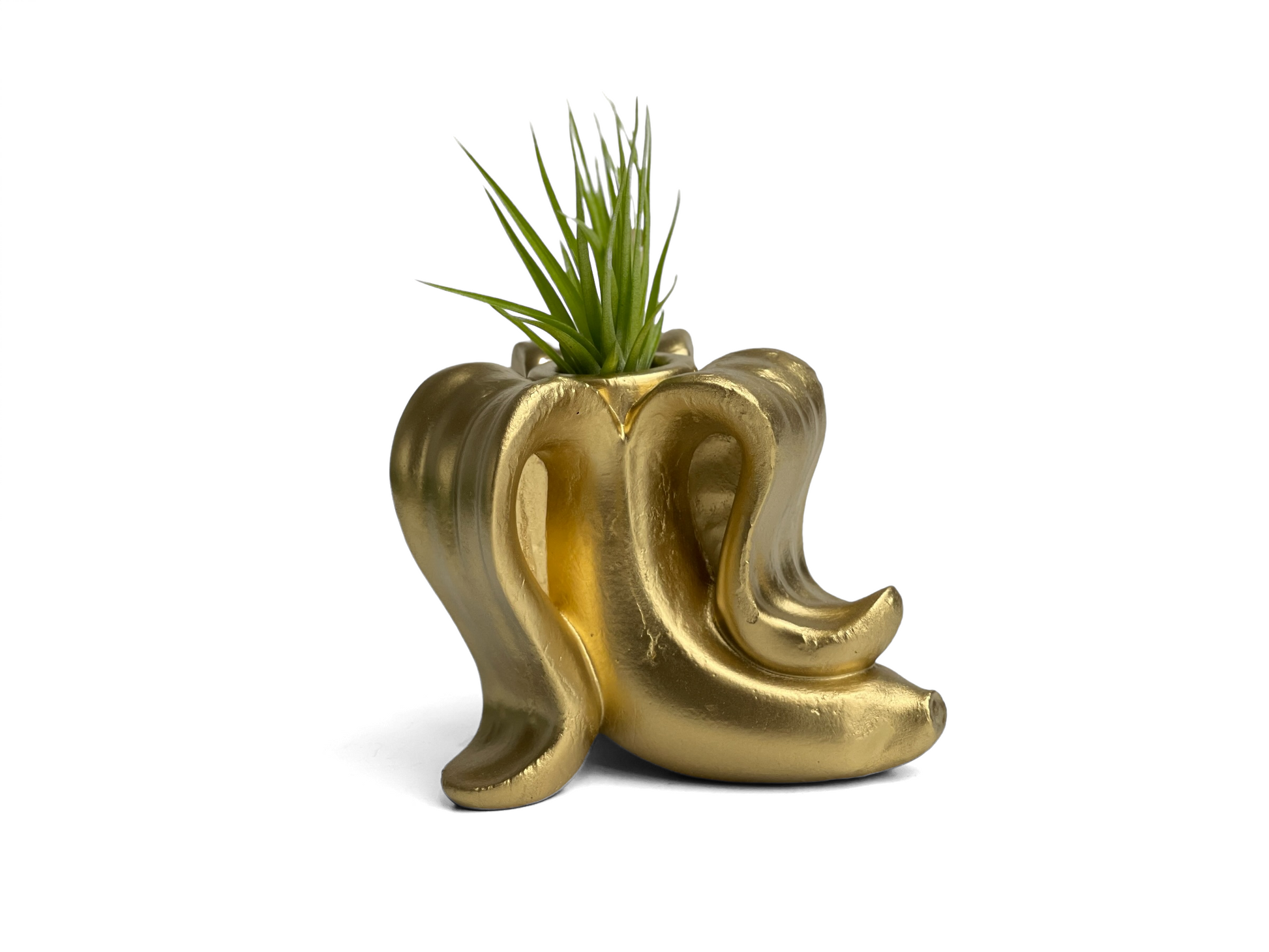 brass air plant holder Banana Air Plant Holder – Lovehopegrow