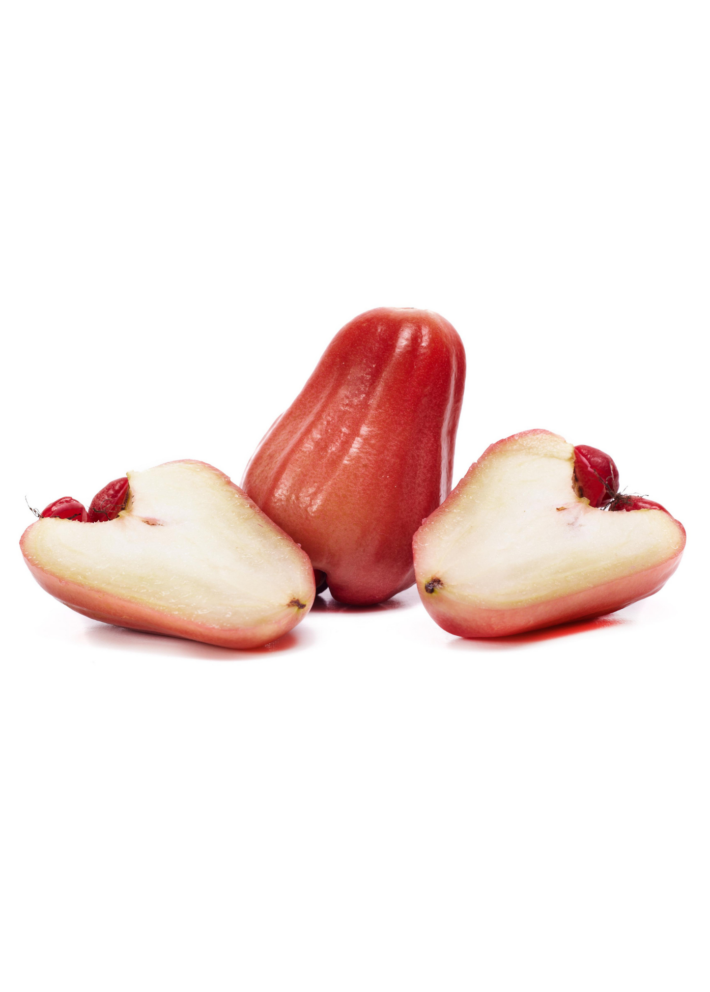 Malay Apple (Syzygium malaccense)