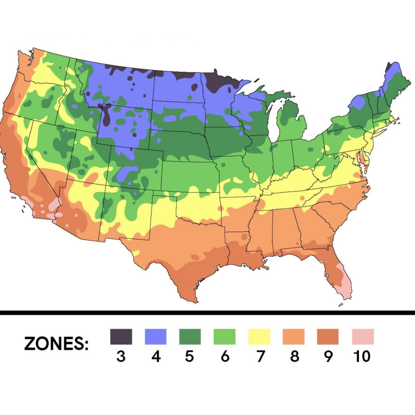 Peach Tree 'Red Haven' (Zones 5 to 9)