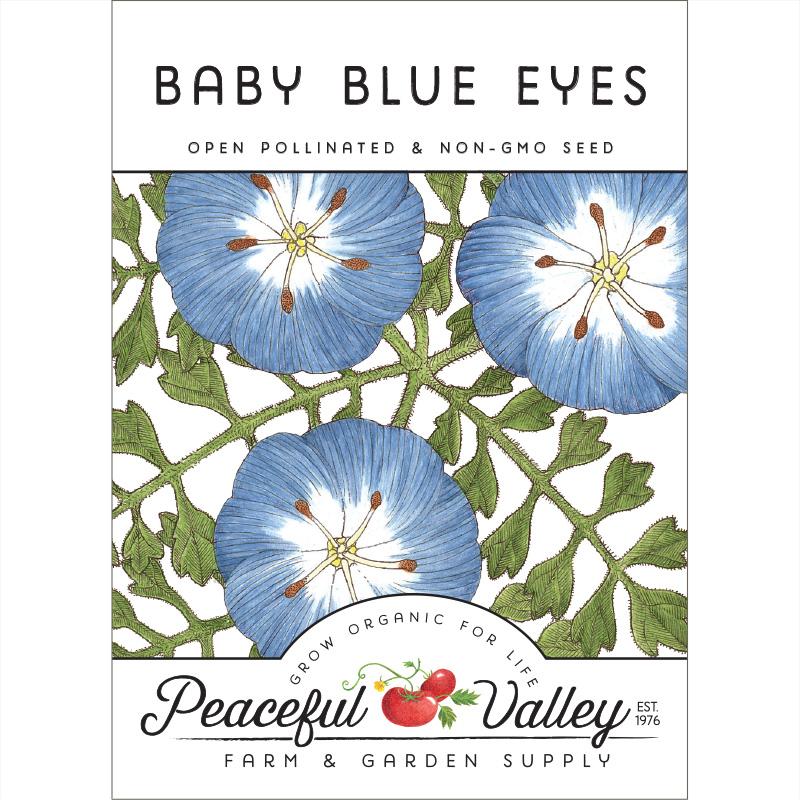 Baby Blue Eyes (Single Seed Pack)