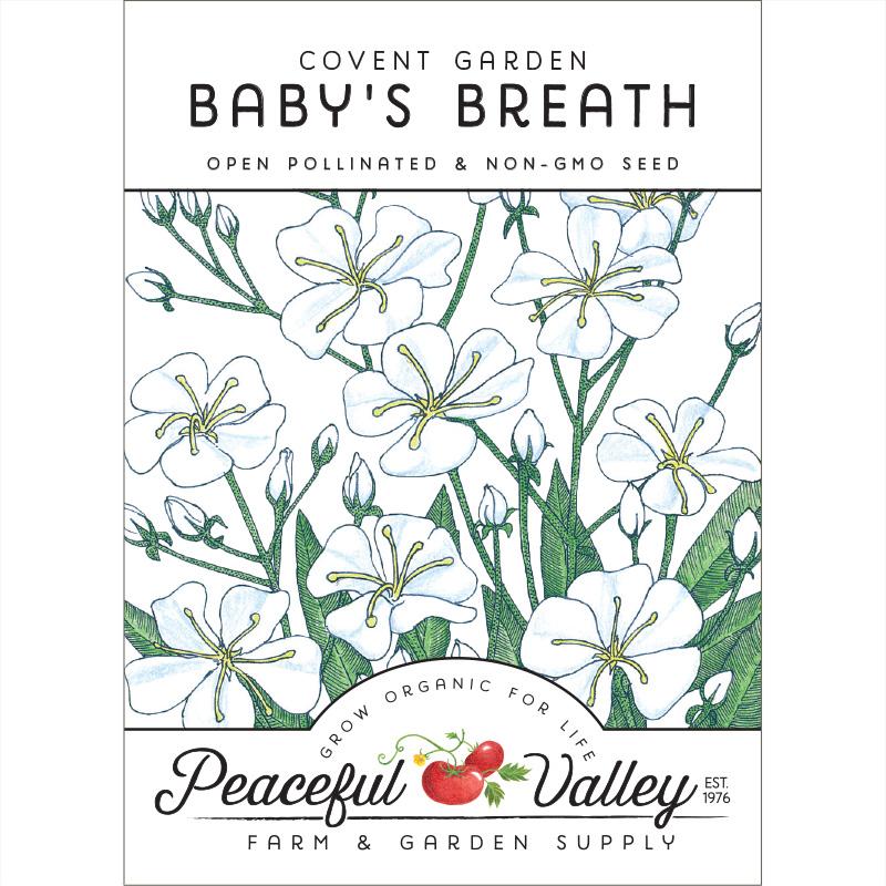 Baby's Breath (Seed pack)