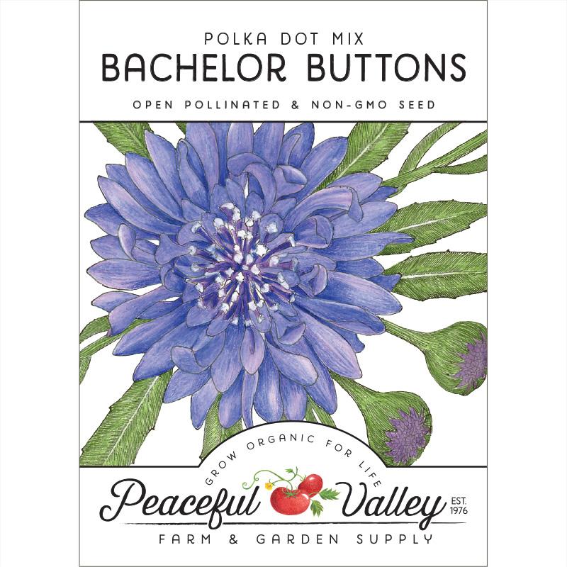 Bachelor Buttons (Seeds pack)