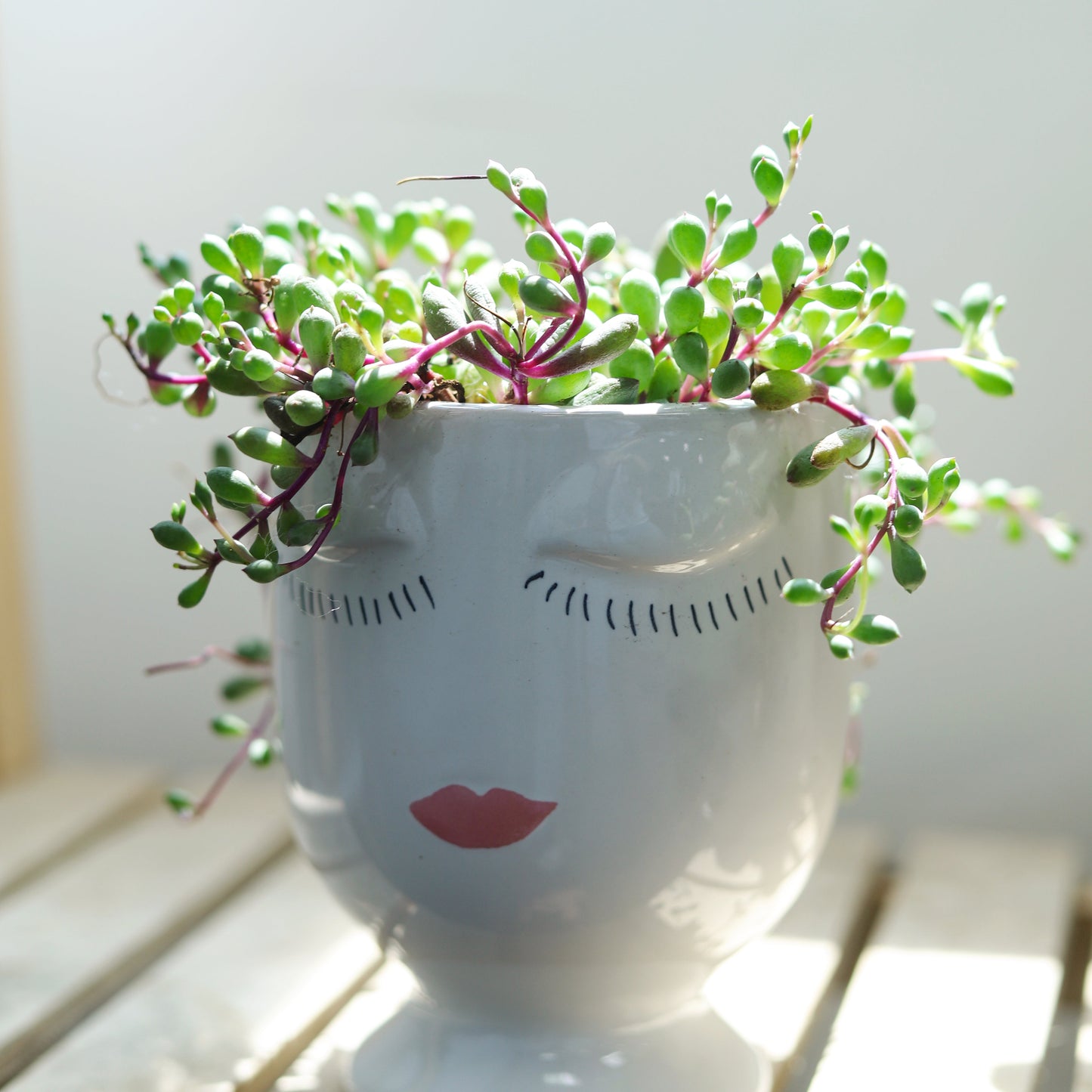 Beauty Pot