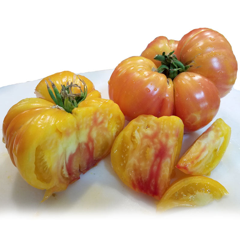 Big Rainbow Tomato Seeds (Organic)