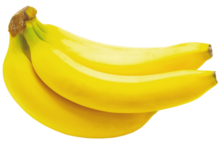 Cavendish Dwarf Banana Plant