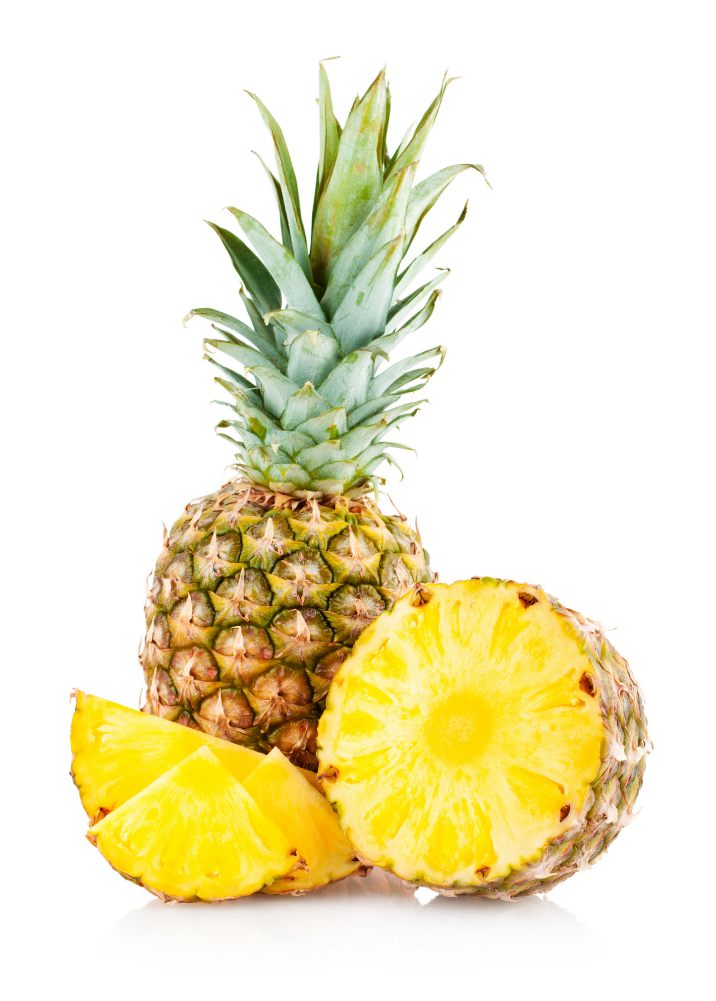 Pineapple Bundle: 'White Jade', 'Variegated Juicy', & 'Elite Gold'