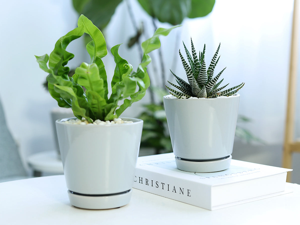 4 inch Gray Minimalist Pot with Saucer