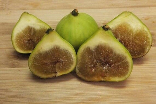 LSU Gold Fig Tree (Ficus carica 'LSU Gold') - Sweet, Golden Fruits for Your Garden