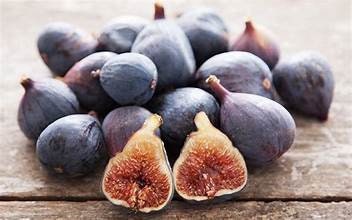 Hardy Californian Black Mission Fig (4 pack)