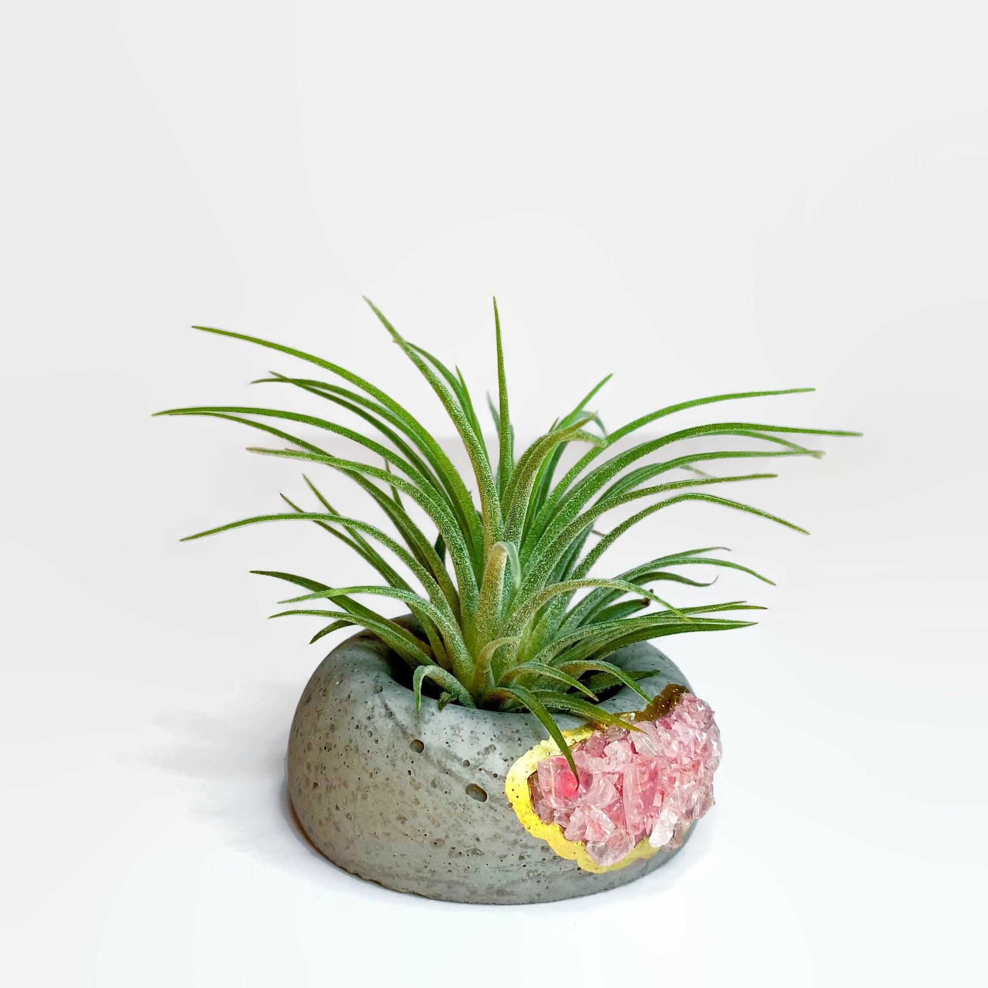 crystal air plant holder Geode Air Plant Holder -Amazonite Crystal Planter